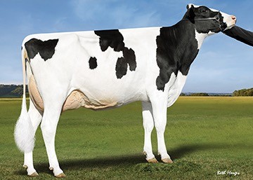 Ladys-Manor Cascade Tide VG85, dam of Tides-Out
