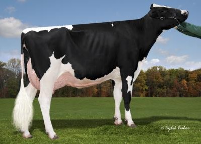Cookiecutter Dta Habitian-ET EX-90, MGGD of Howzer