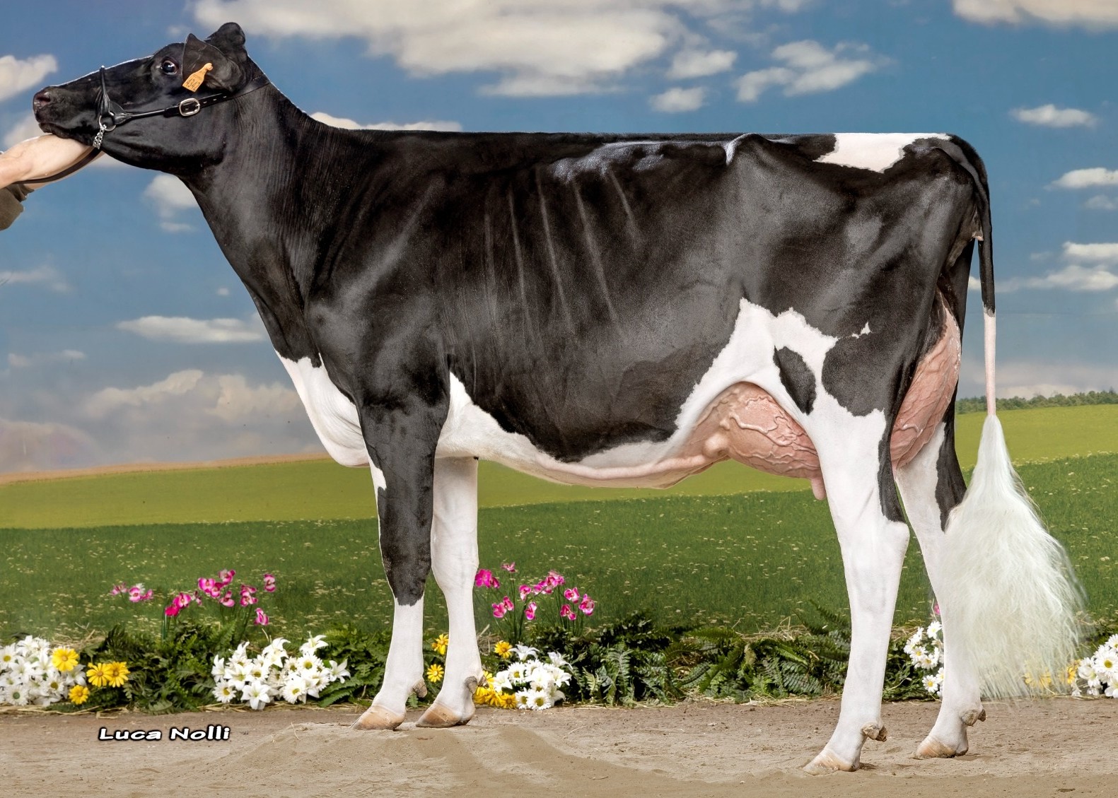 Rinascente Lukaku Kety, Daughter of Lukaku