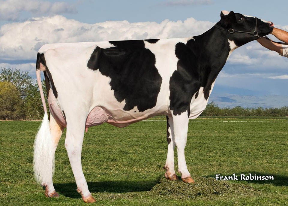 Endco Delta Chance-ET VG-87 GMD, MGGD of Sortudo