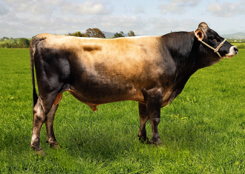 325521 GLEN KAYCEE LANG SY-PHI