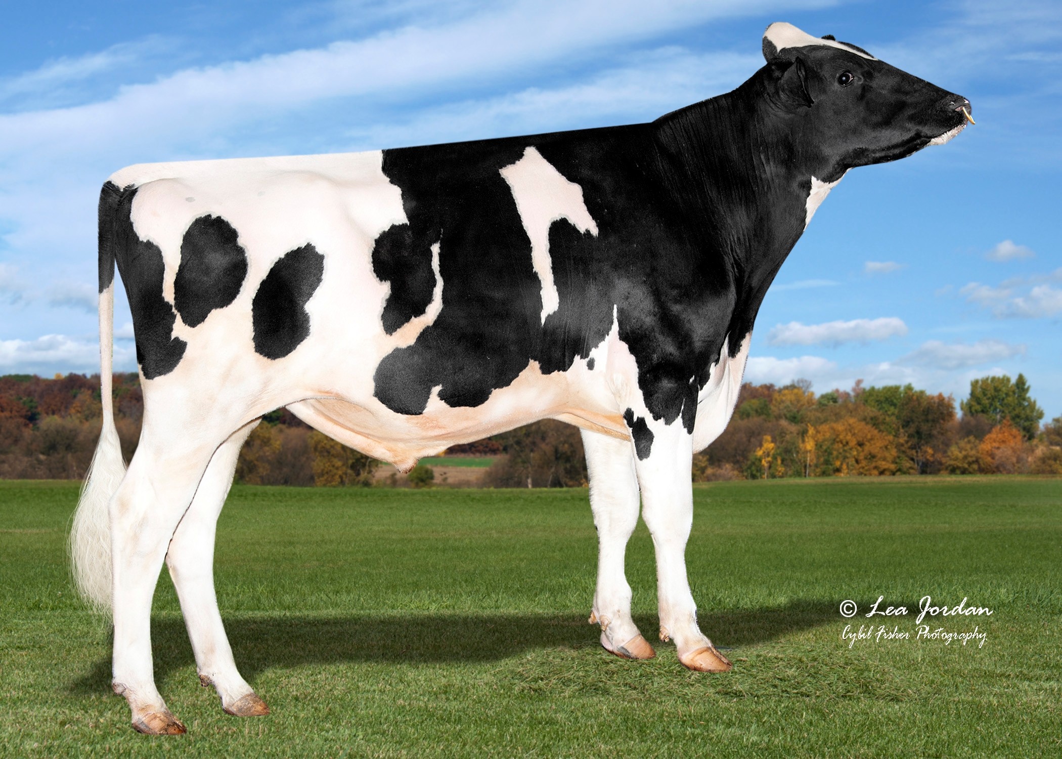 Genosource Beethoven-ET