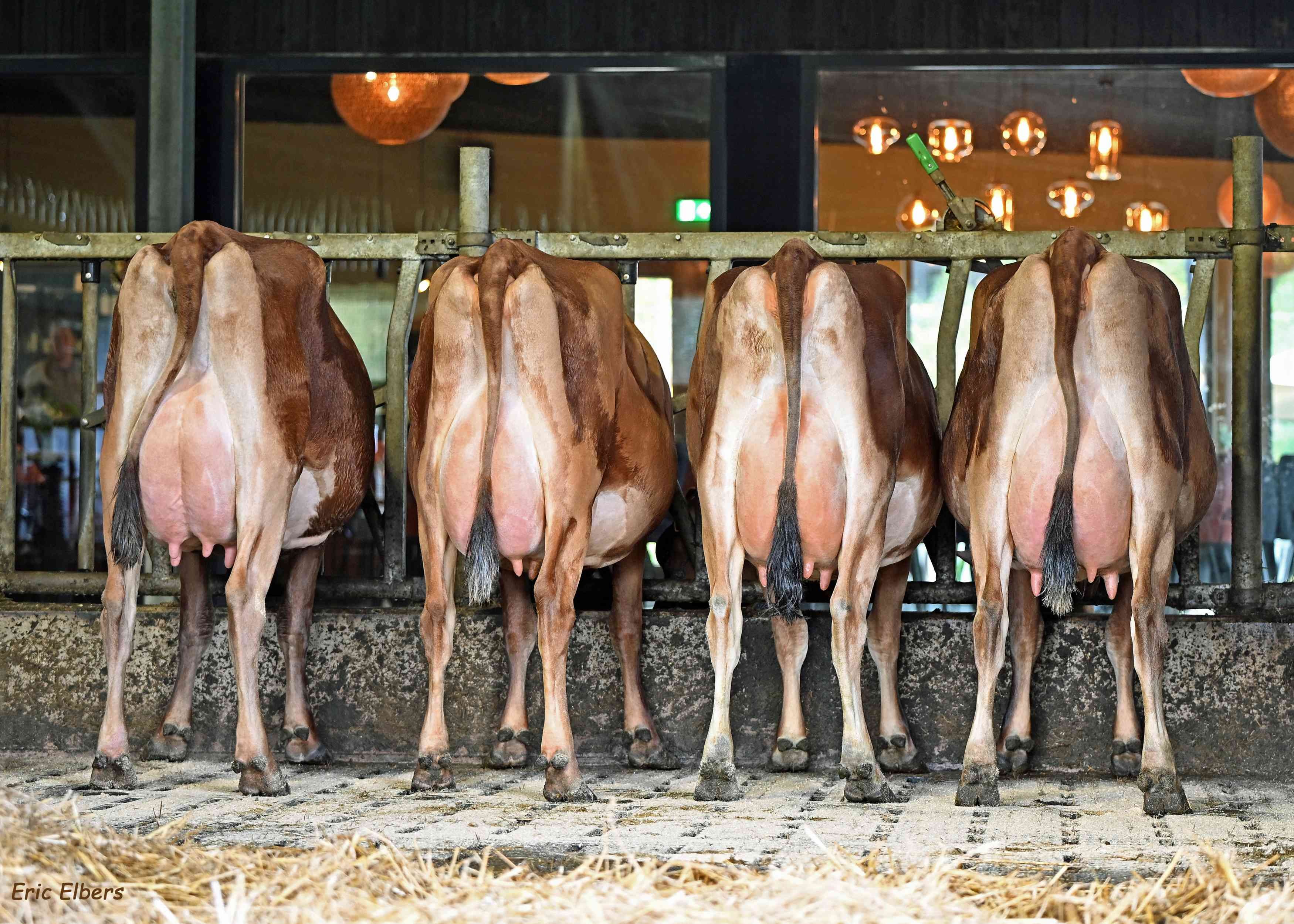 4 Nucleus dochters bij Mts Nijhoff, Emmen