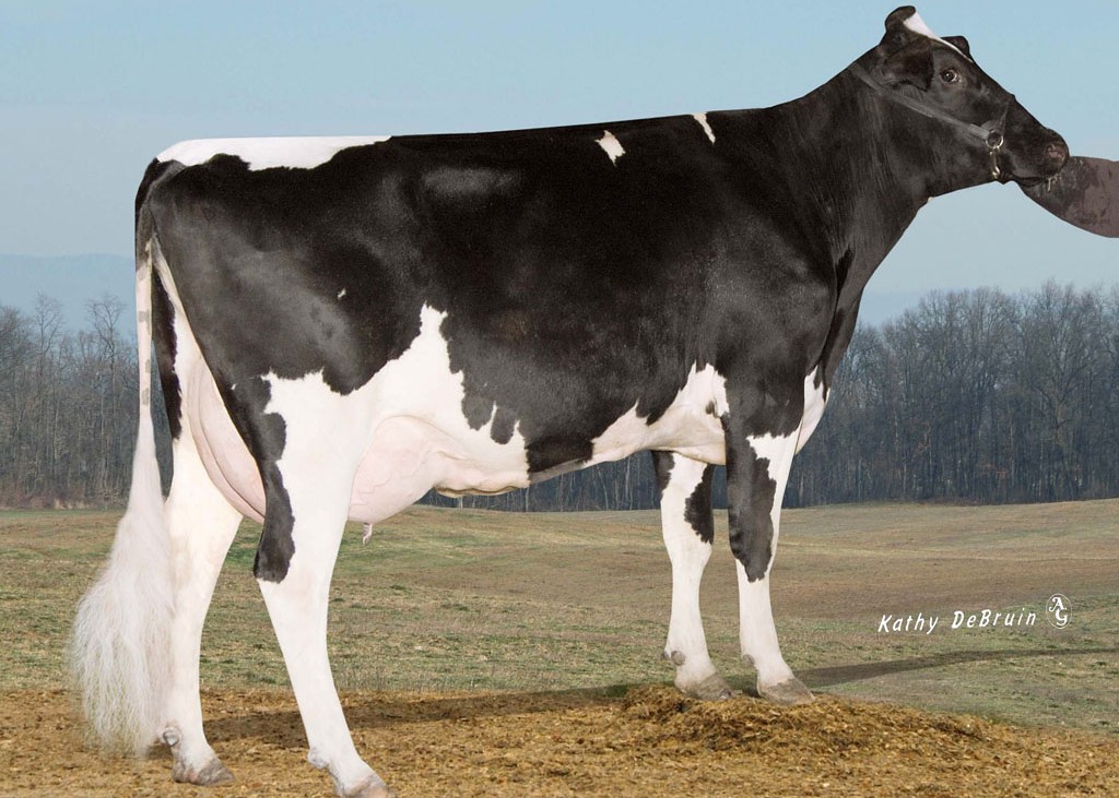 Pine-Tree Monica Suela-ET VG-87 DOM, 5th Dam of Honeycomb