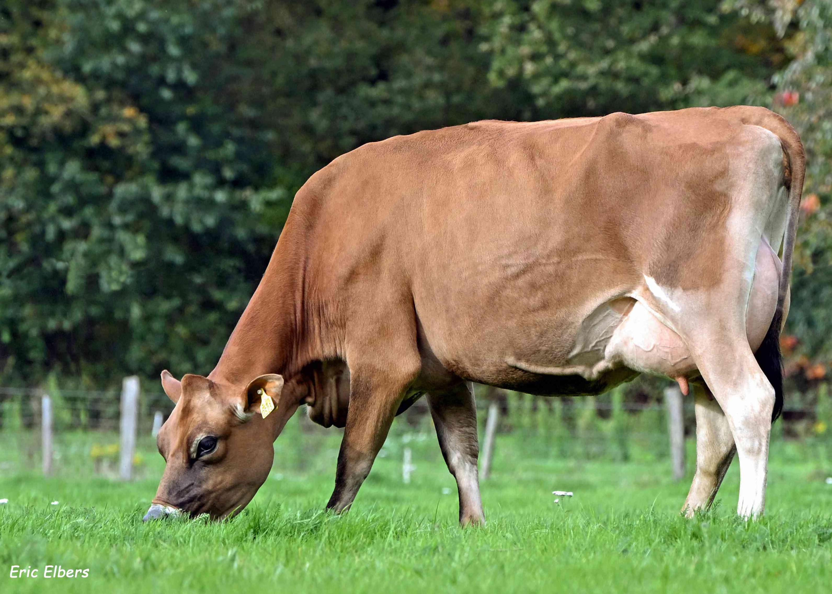 Nije Hoff Mieke 3, Mts Nijhoff, Emmen