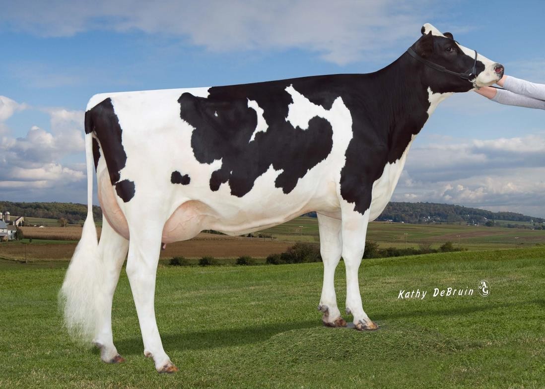 Endco Yoder L7933 9839-ET VG-86, 4th Dam of Luxe