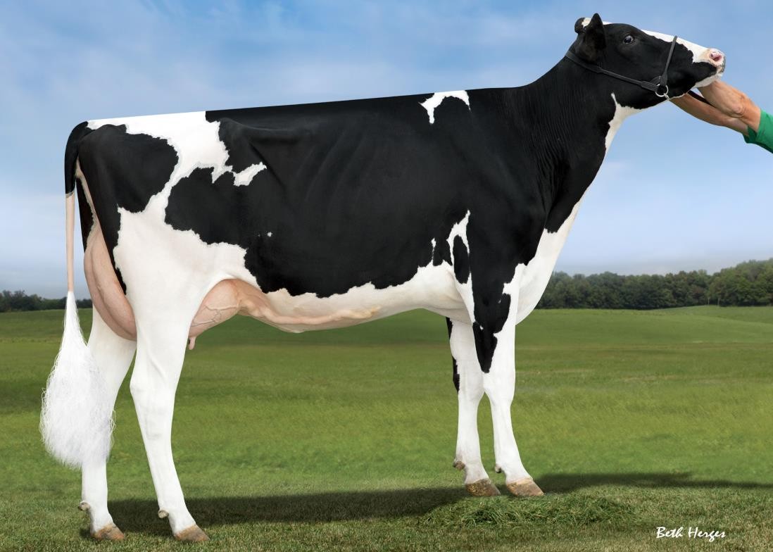 Edg Trac Uno Trudy 2036-ET VG-85, MGGD of Tictoc