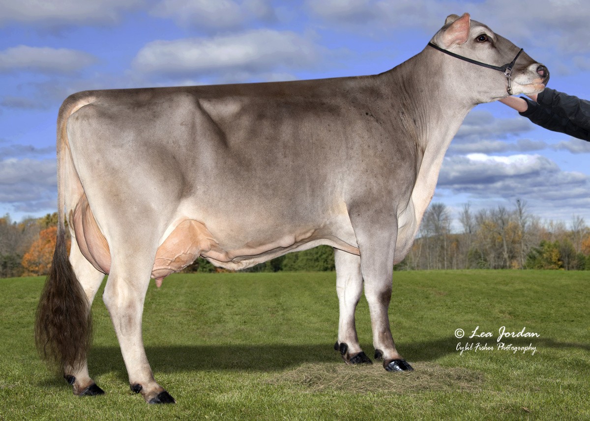 Hilltop Acres J Naomi 88U 87AV, moeder Nightcap. 2de lac.
