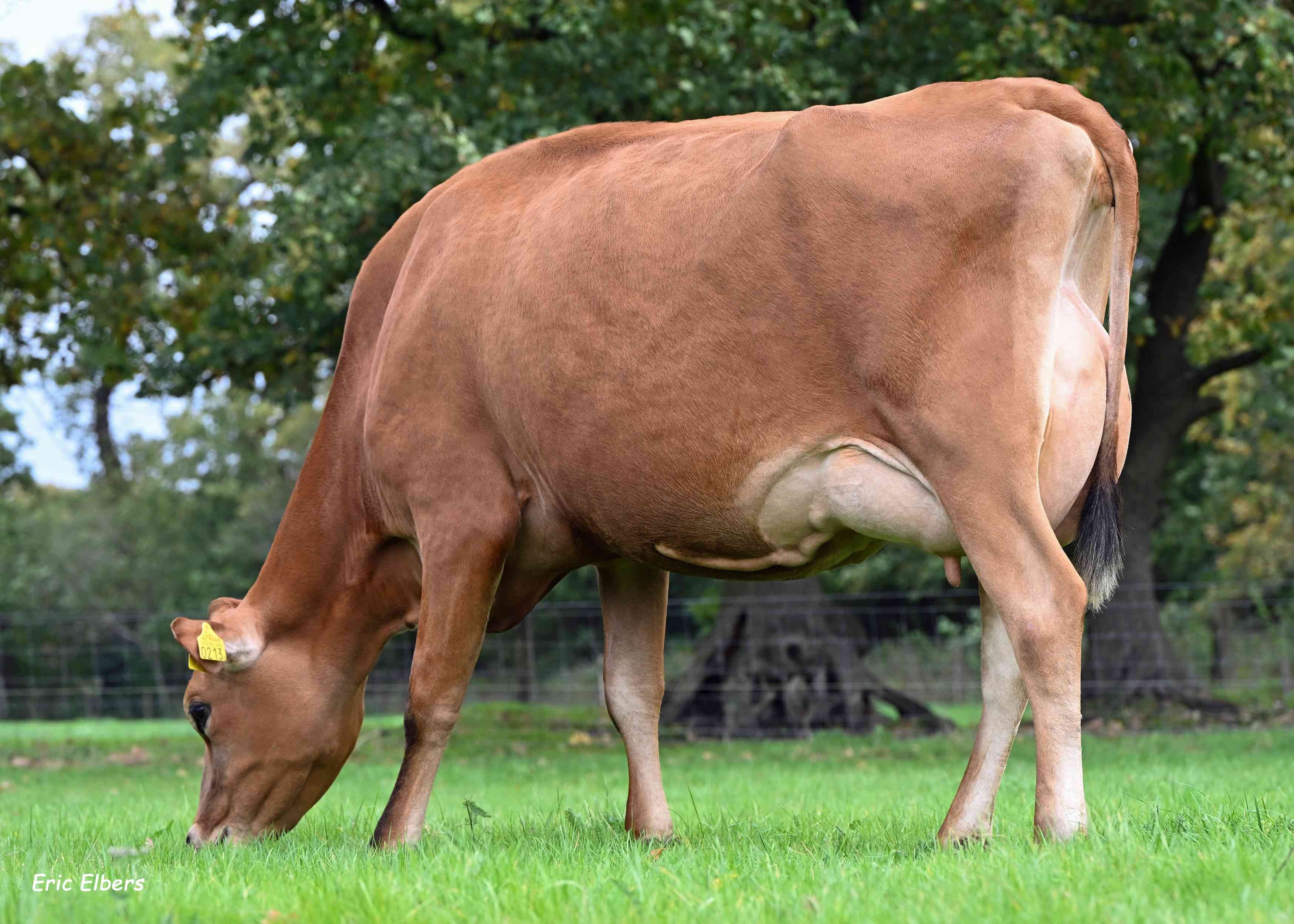 Nije Hoff Juul 9, Mts Nijhoff, Emmen