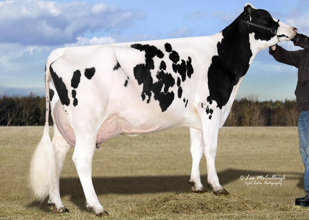 Vision-Gen SH FRD A12276-ET EX-90, 5th Dam