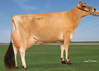 JX Jer-Z-Boyz Listowel Mint 5910 {6}-PP, Dam of Manor-P