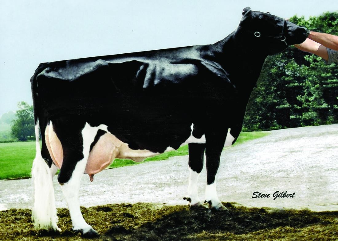 Wesswood-HC Rudy Missy-ET EX-92 3E GMD DOM, 7th Dam of Honeycomb