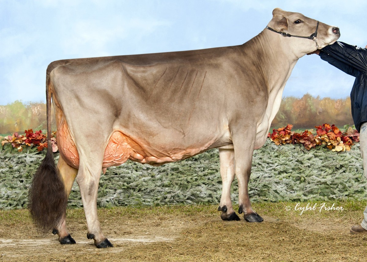 Top Acres S Wish ET 93 U 93 E' Grootmoeder v. Wingman