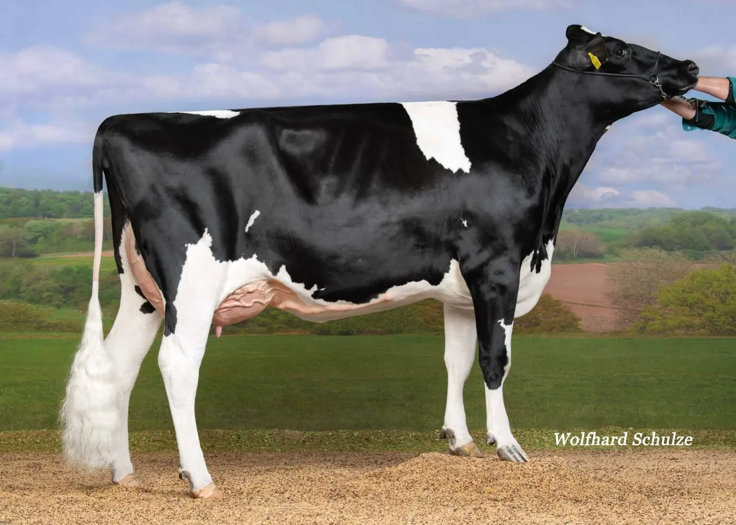 WKM Naomi, grootmoeder van Jump P