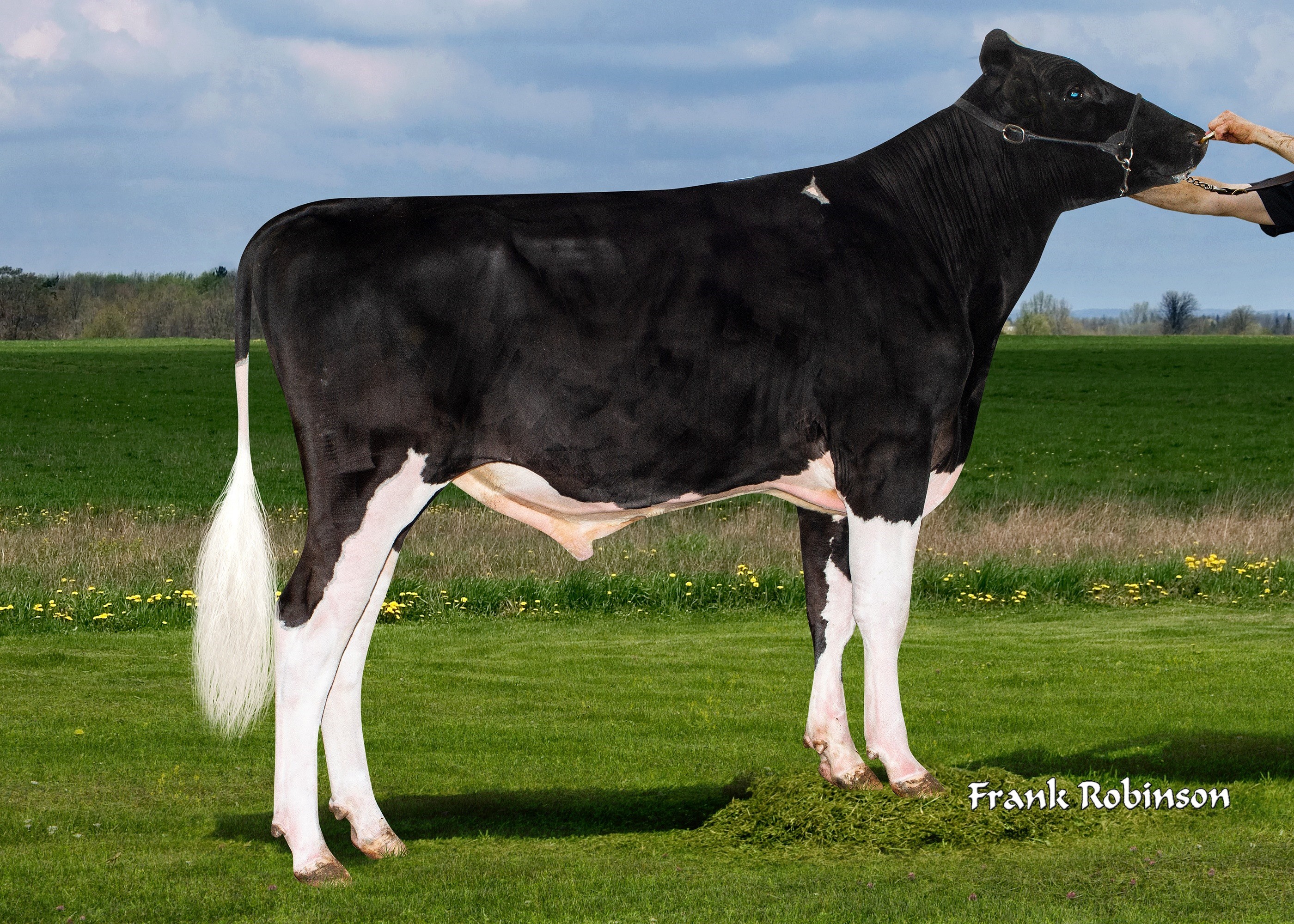 Ladys Manor Outkast ET