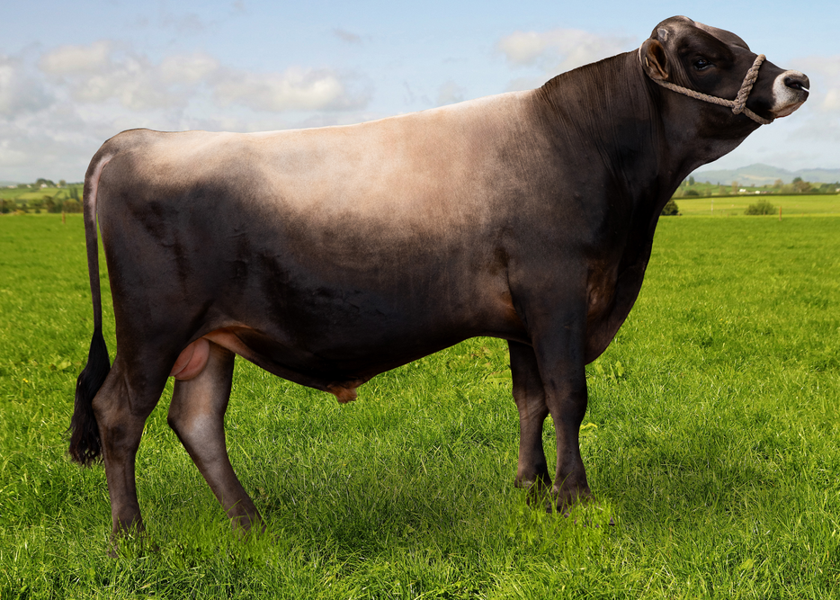 325513 LOCKHART G FERDIE-P JC15