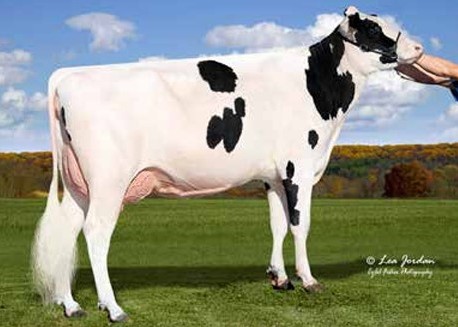 Siemers Abl Nation 27370-ET EX-90, MGD of Noontime