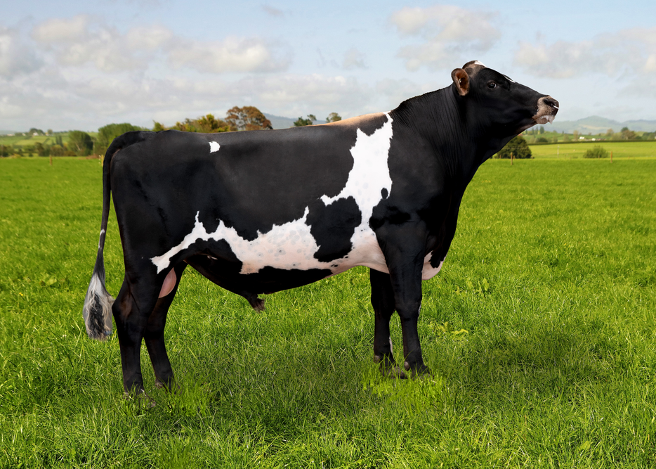 525666 GREENMILE LEAP-ET-P F12J4