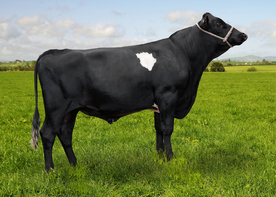 525664 GREENMILE RELAY-ET-P F12J4