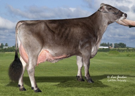 Grootmoeder van Crazy Man (90AV 11.320 kg met 4,50%v met 3,70%e)
