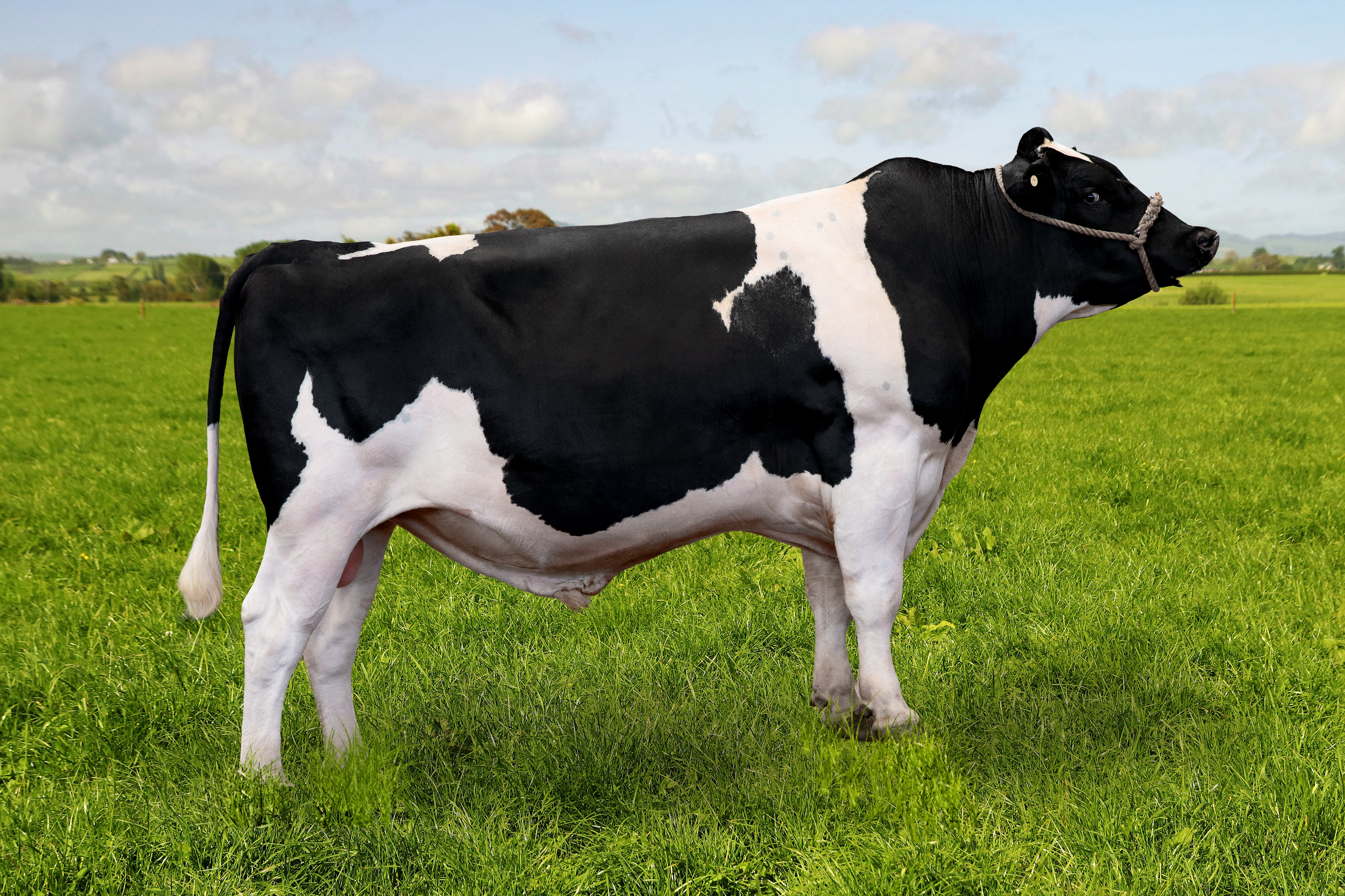 124525 MEANDER WM ADDINGTON-ET S3F