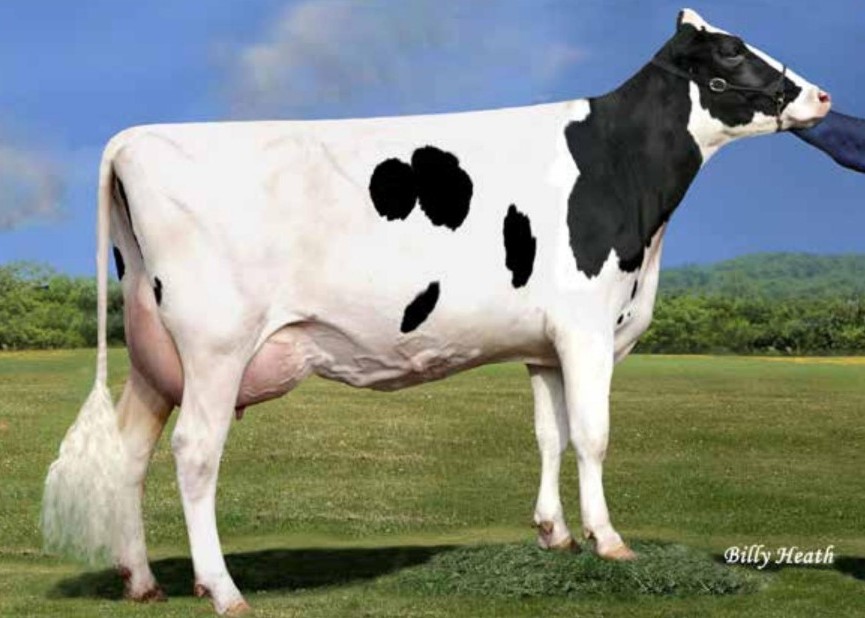 Cherrypencol Lee-ET EX-93, MGGD of Lindstrom