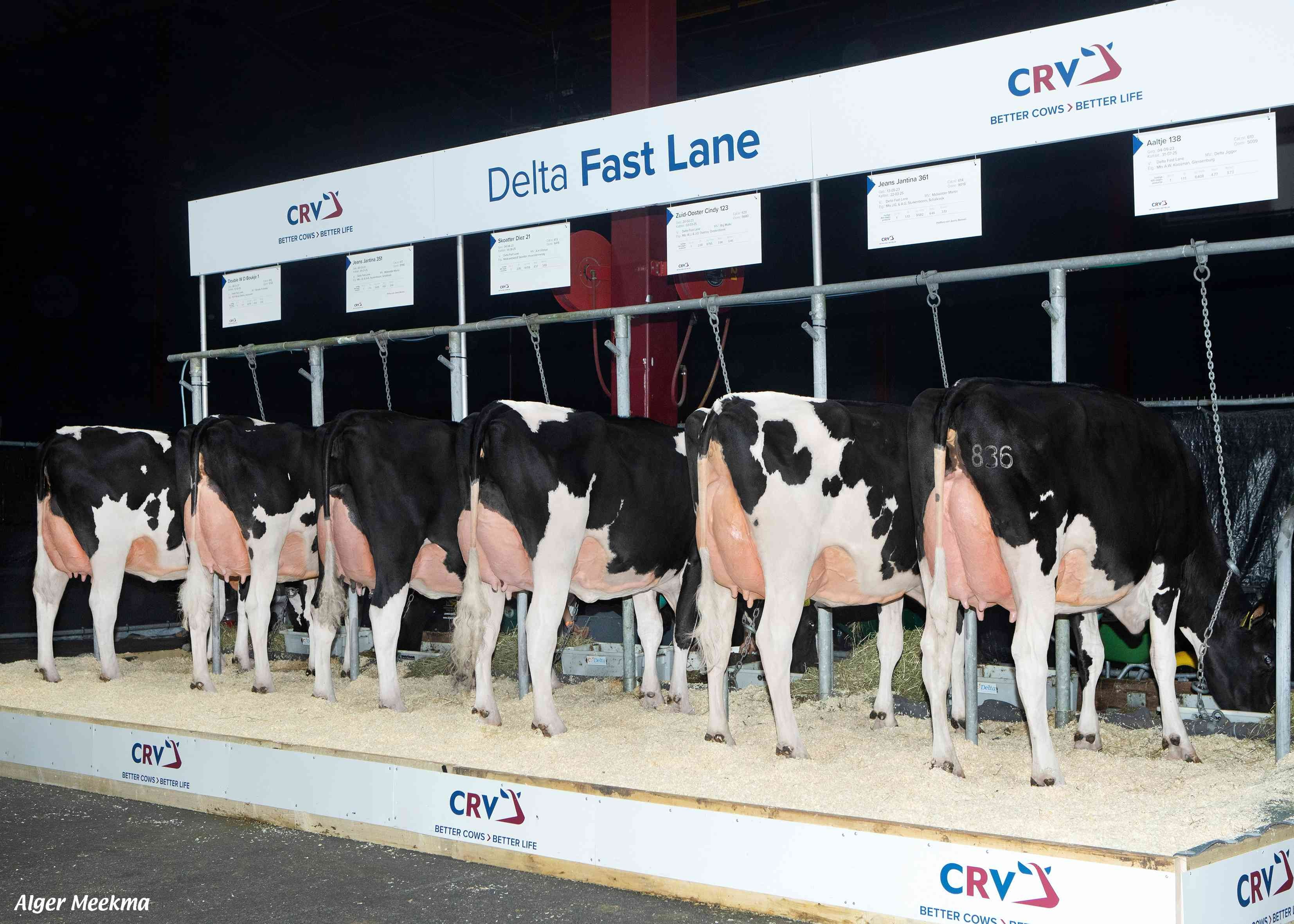 Delta Fast Lane (dochtergroep Holland Holstein sHow Leeuwarden)
