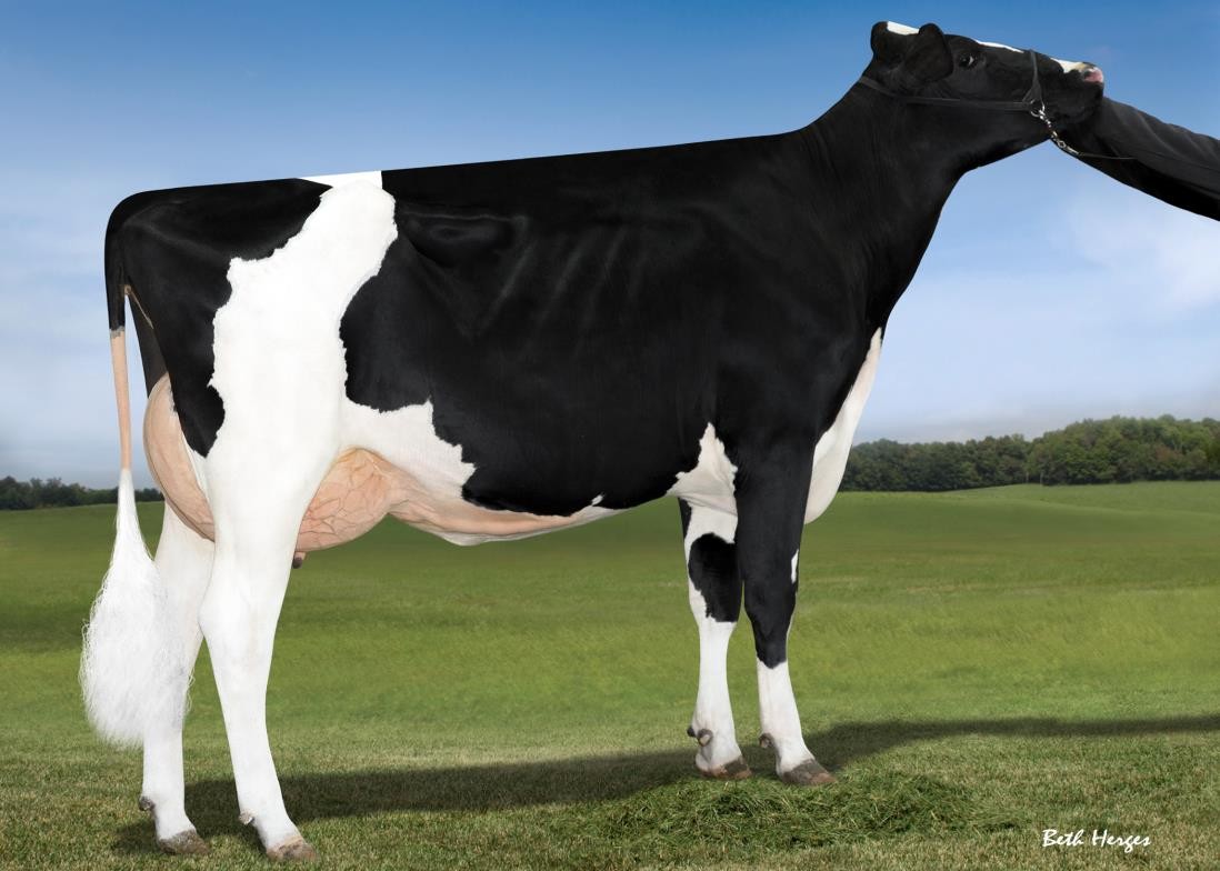 Ms Farnear Trudy Thyme-ET VG-86 DOM, MGD of Tictoc