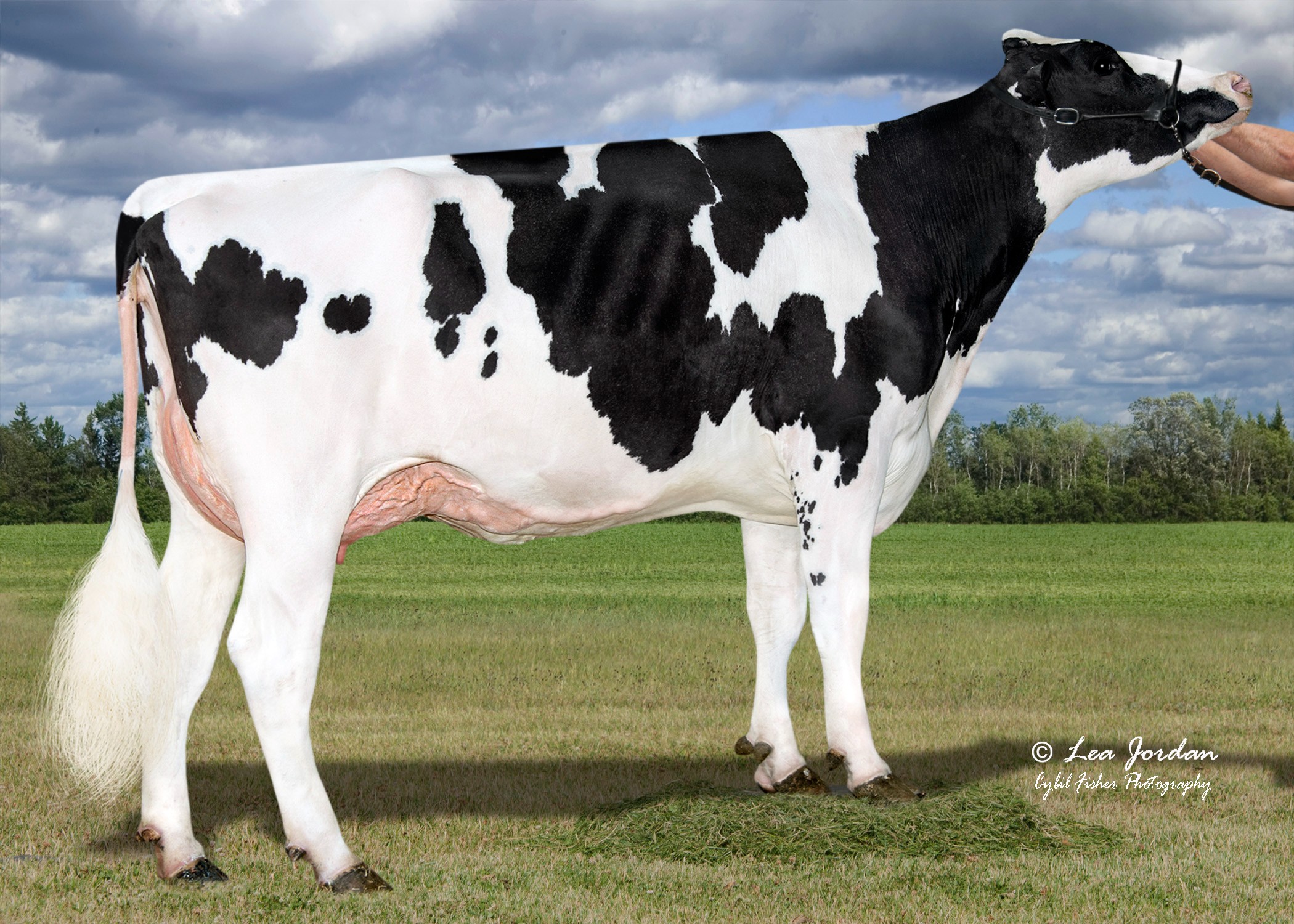 Aurora SSI Megaluck 9040-ET VG-87, MGD of Tyrol