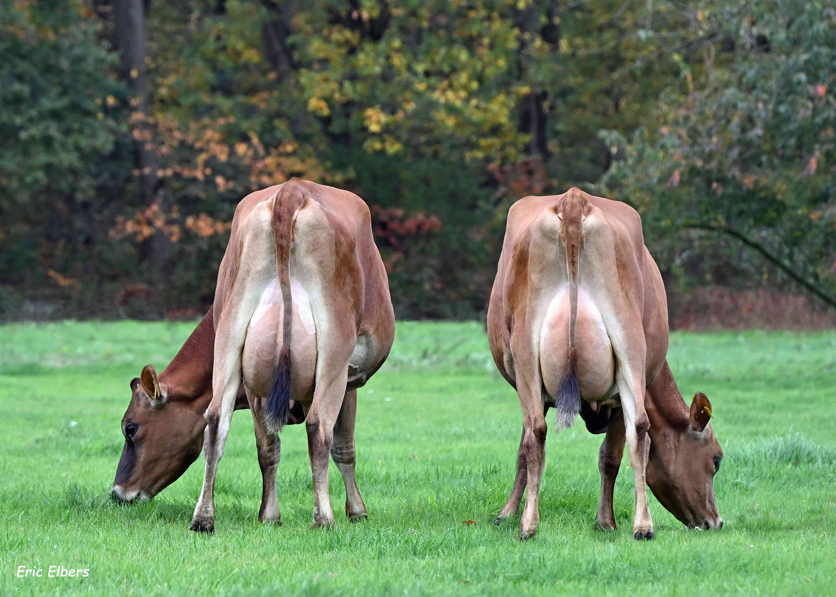 Nucleus dochters bij Mts Nijhoff, Emmen (NL)