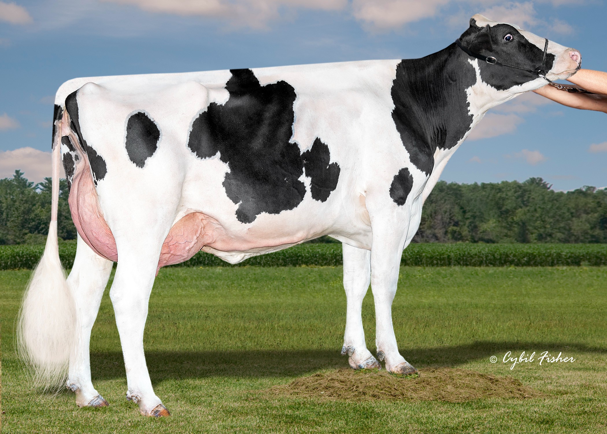Peak Alpine-ET, Dam of Astrology