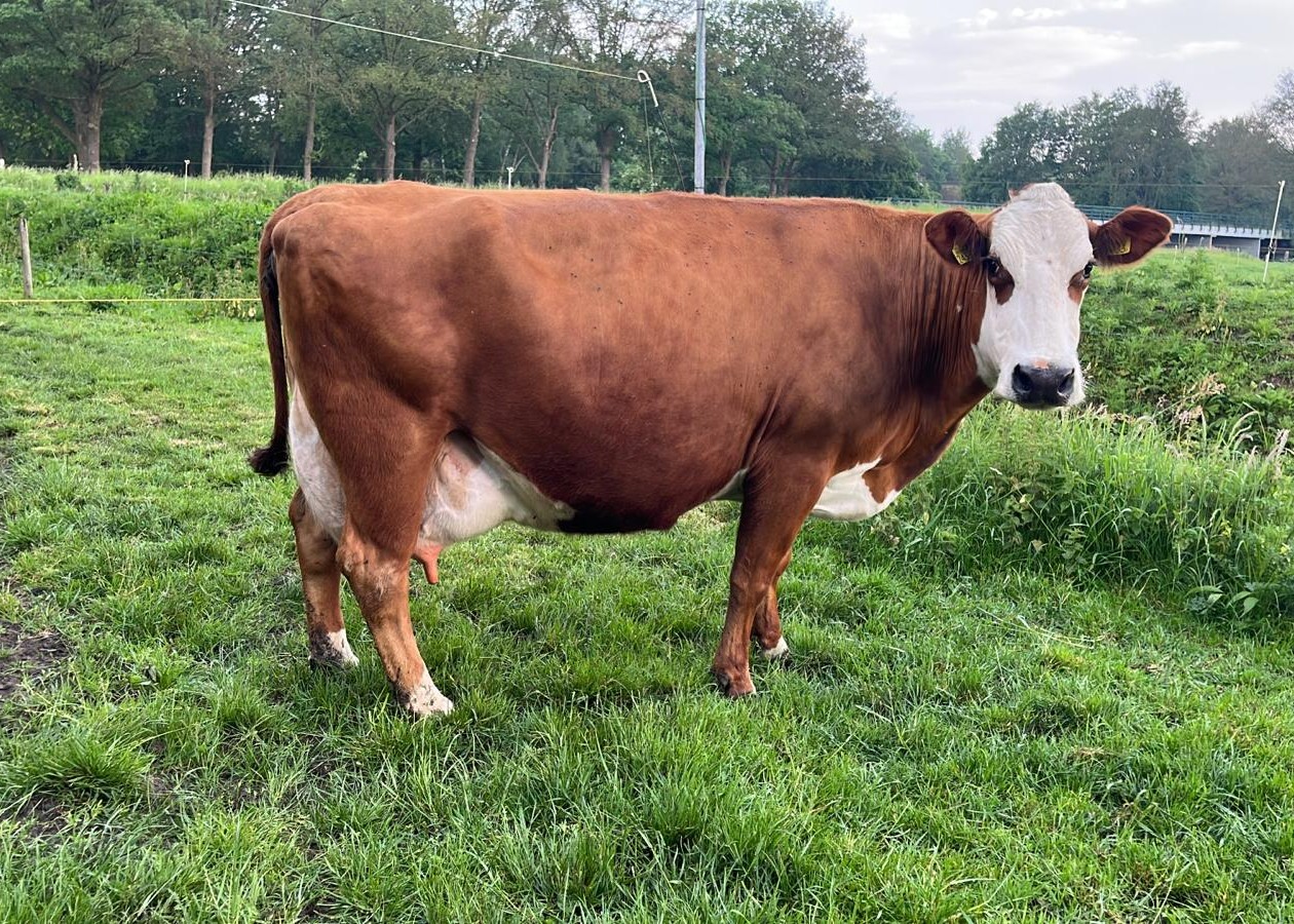 Jozephien Moeder v. Jeppe (in 2024 als 10 jr en op de dag van geboorte Jeppe)