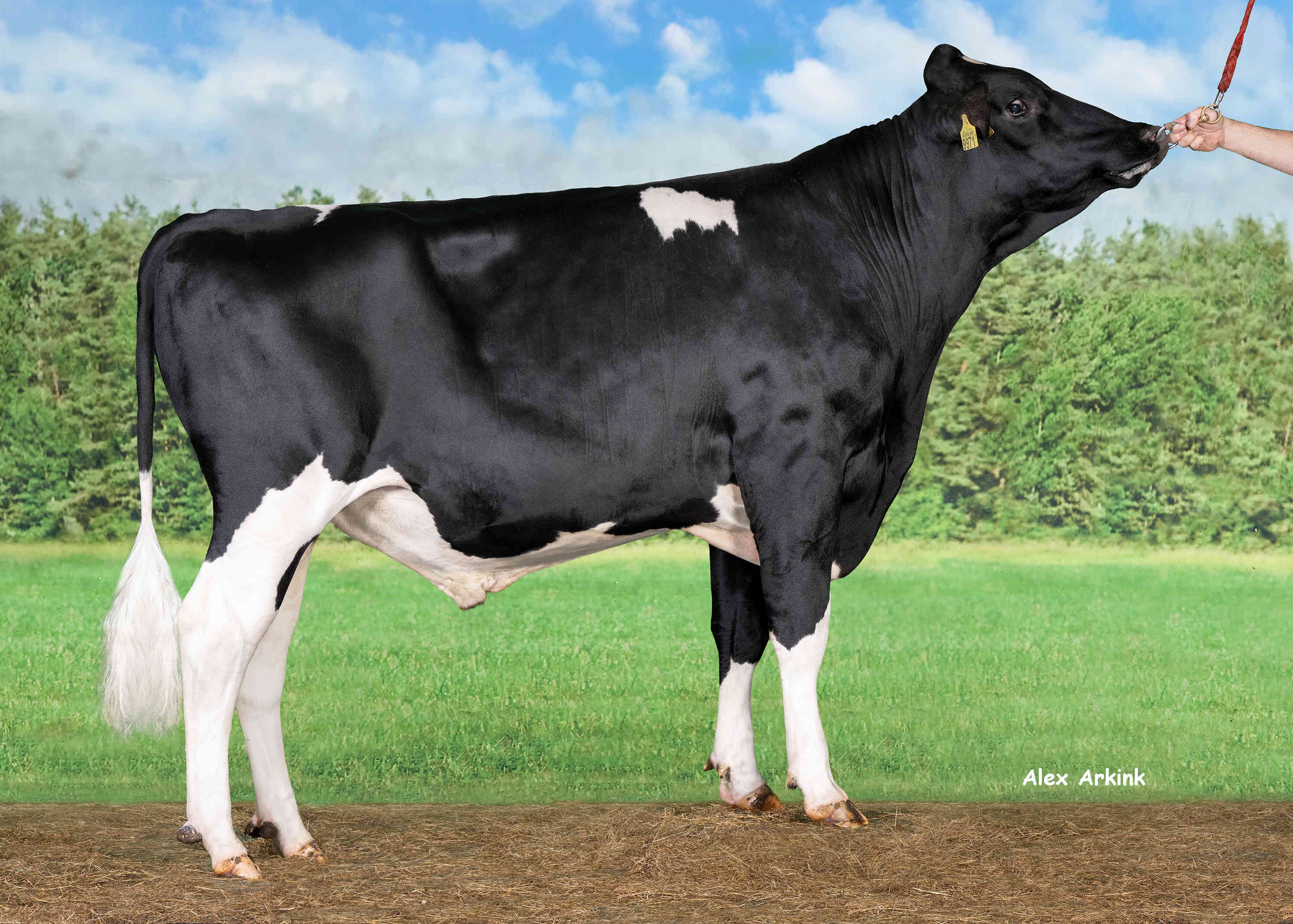 Delta Orinoco RF