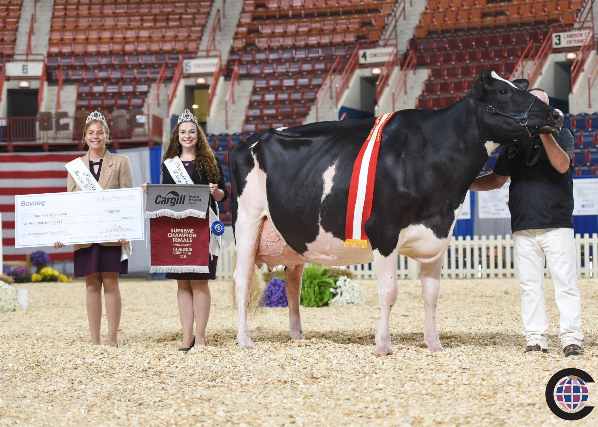 Macland HF Yoder Rachel-ET EX-96 DOM, MGD of Shawarma