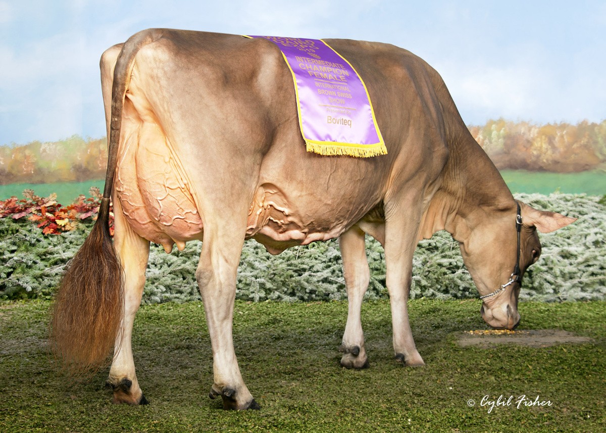Jenlar Carter Waltz '92 U 91 E' - Moeder v. Wingman  