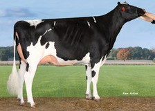 Pen-Col Superhero Mistral (s. Endco Superhero), MGGD of DiMaggio-Red