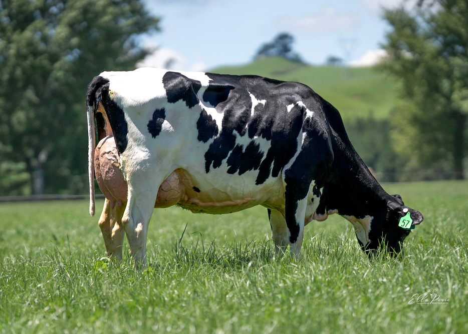 Daughter 57 : Porter Grassroots Ltd