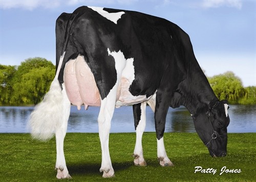 Ransom-Rail Facebk Paris-ET VG-87 GMD DOM, 4th Dam of Orono