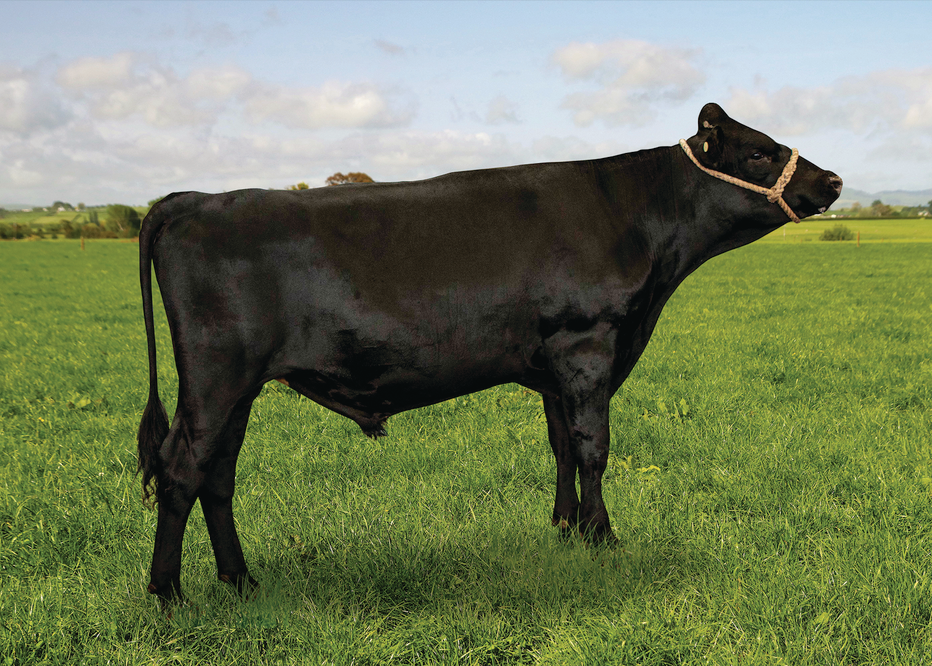 522665 PAYNES HAYLOFT ET F11J5 