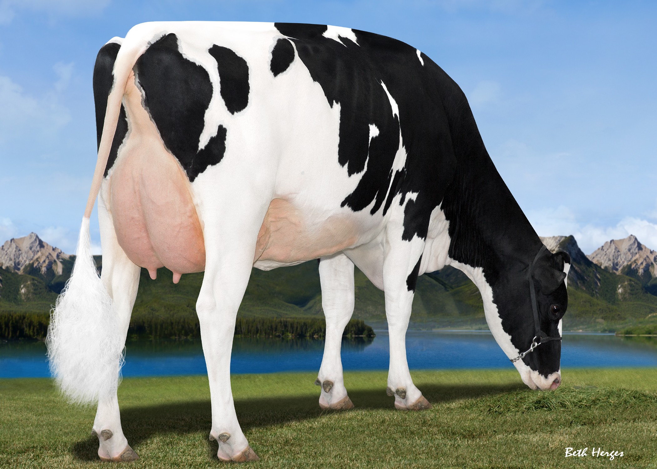 Compass-Trt Amrica Jabra-ET VG-85 DOM, MGD of Morant
