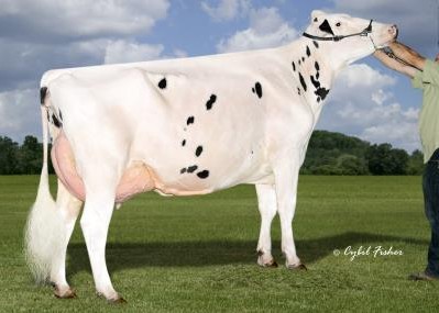 Quiet-Brook-D-Babybrook-ET EX-94, 6th Dam