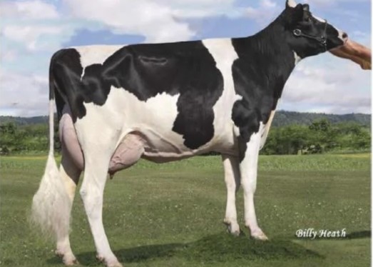Pen-Col Legacy Jane-ET VG-87, MGD of Jarvis