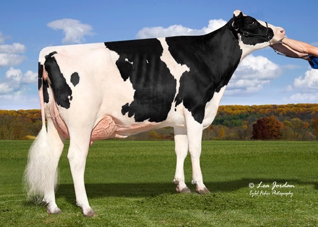 Welcome Legendary Gale EX-90, MGD of Guam