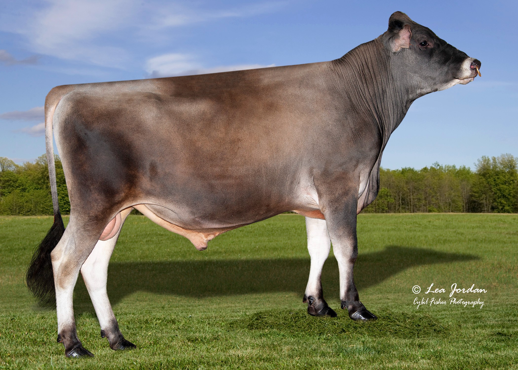 JX Forest Glen Hearth {5}-ET