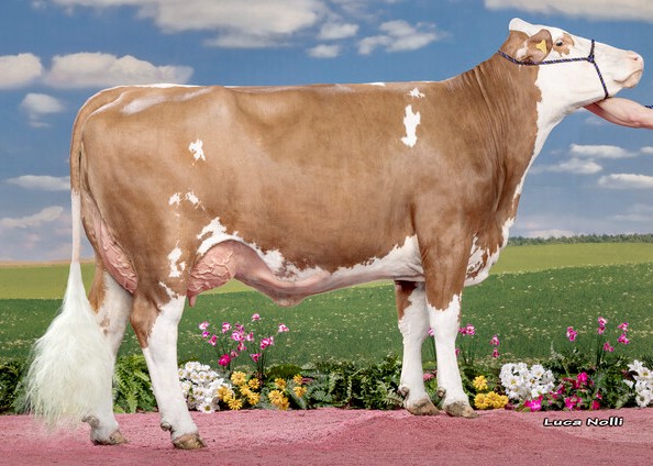 Zeugin, halfzus moeder Hochtirol, eig.: Martin Stückler