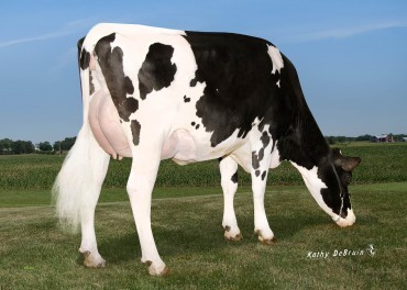 Pine-Tree 5976 Prop 7829-ET EX-90 DOM, Dam of Slattery