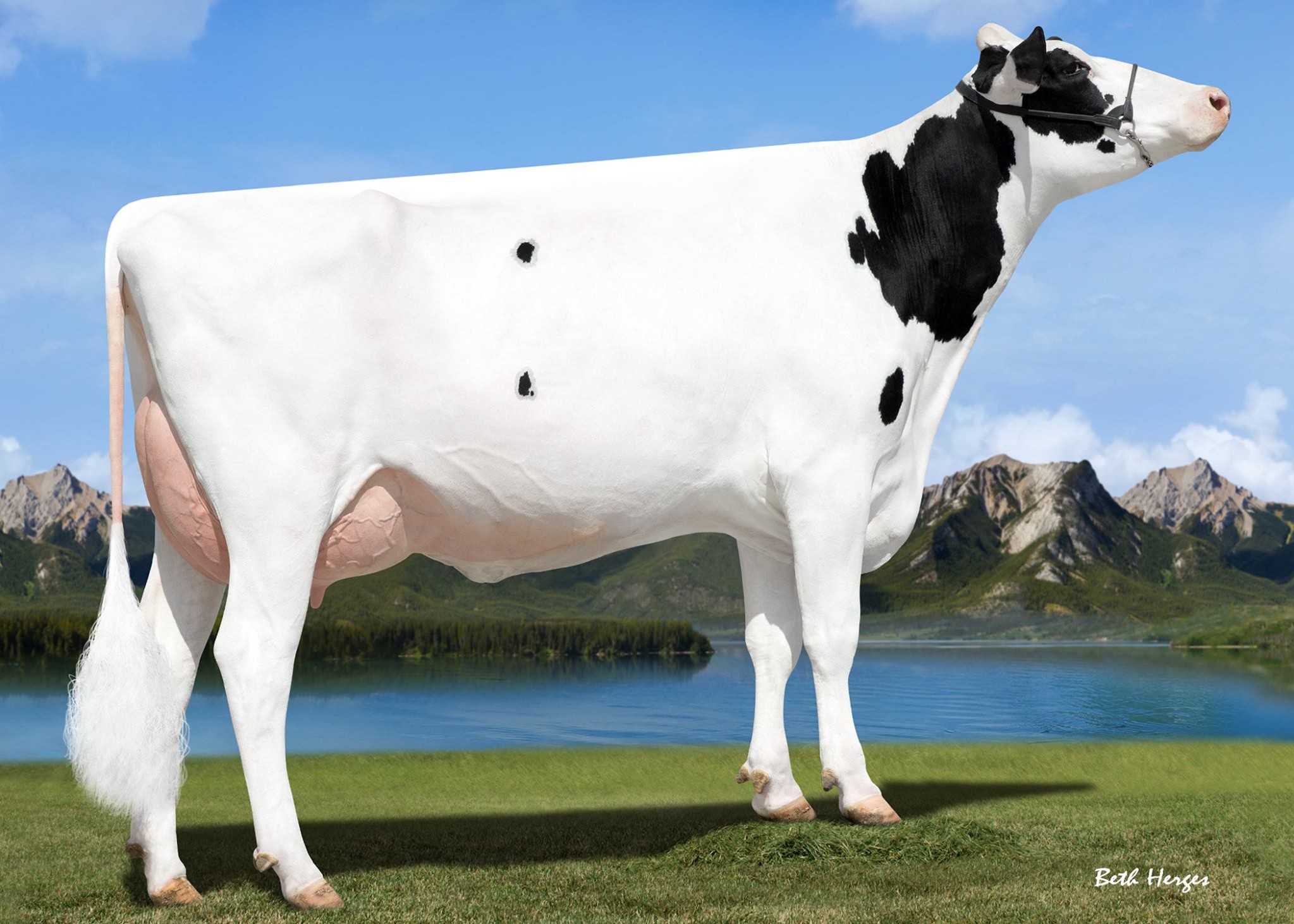 Mapel Wood Mccutchen Loyality-ET VG-87, 7th Dam of Euro