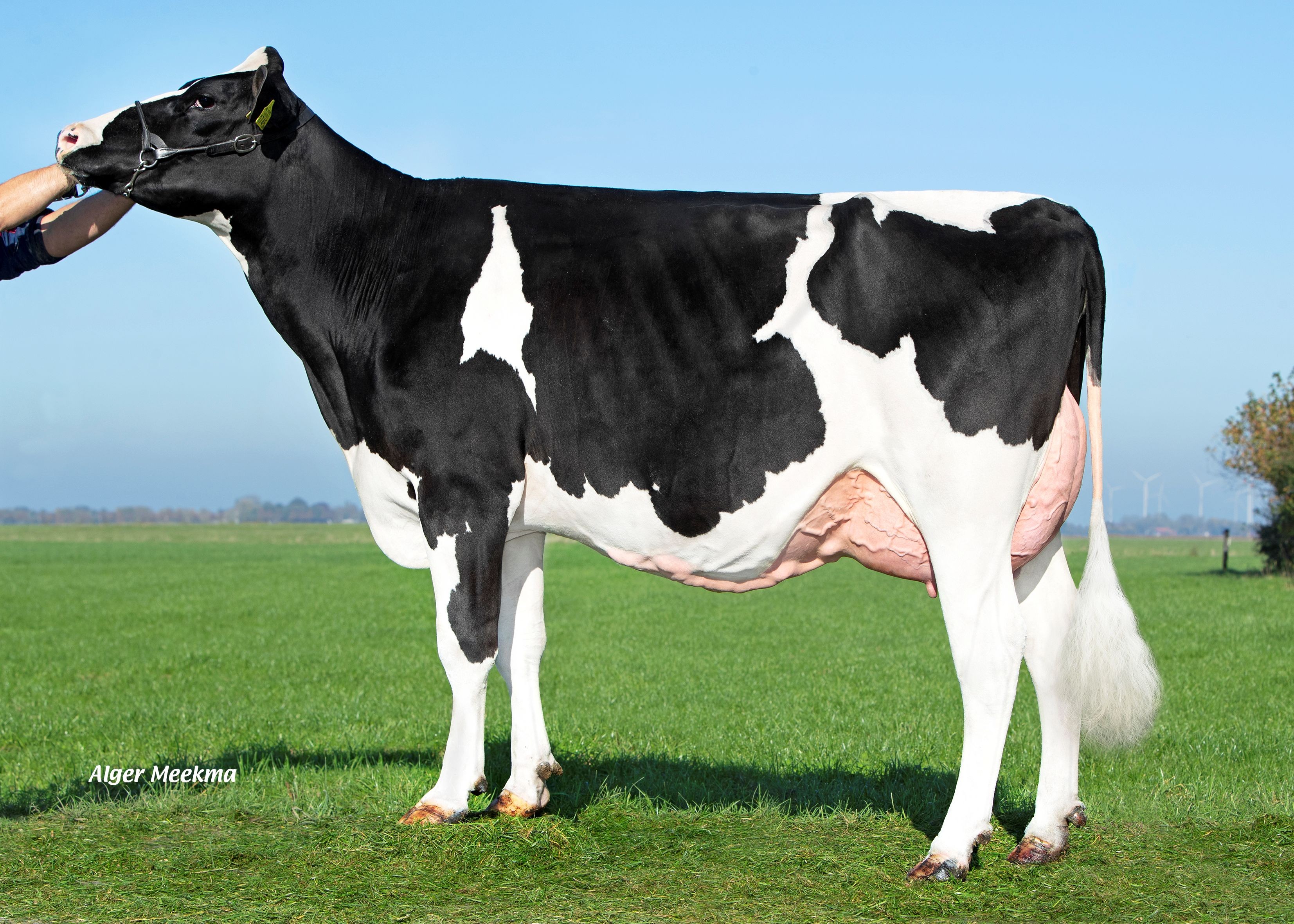 Delta Jutta, Daughter of Xander