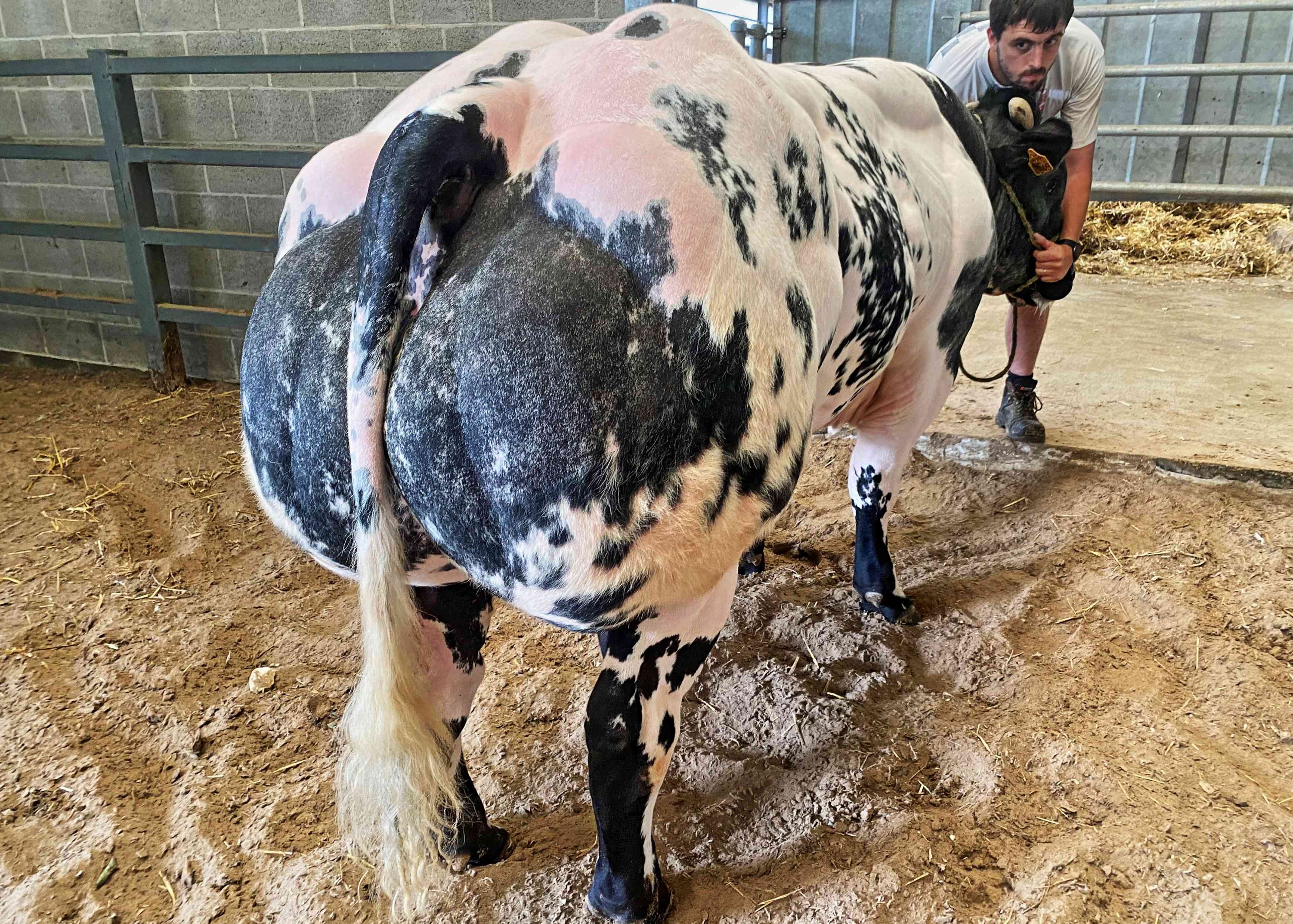 Gims de Glaumont