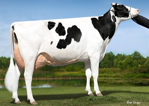 Seagull-Bay Mogul 1725-ET EX-90 DOM, 4th Dam of Tides-Out